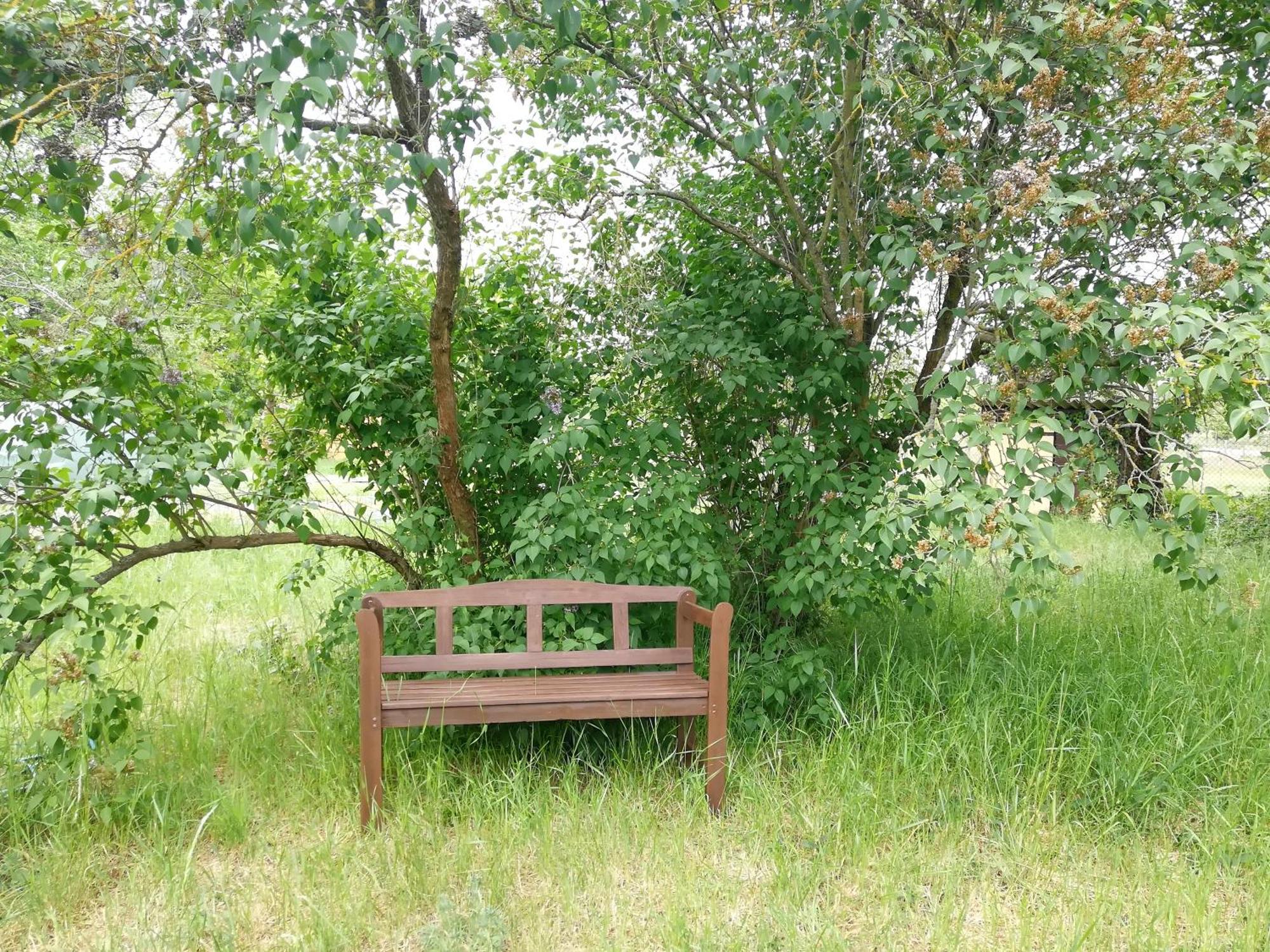 Ehemalige Bibliothek Apartment Fuer 2 Mit Kueche Kamin Netflix Parken Und Hofladen Steinhofel Exterior photo